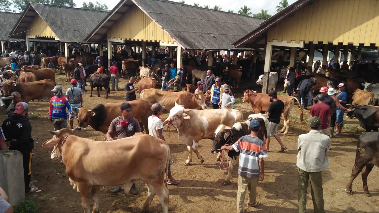 Penjualan sapi di Pasar Hewan Manonjaya, Tasikmalaya, Jumat (24/7)