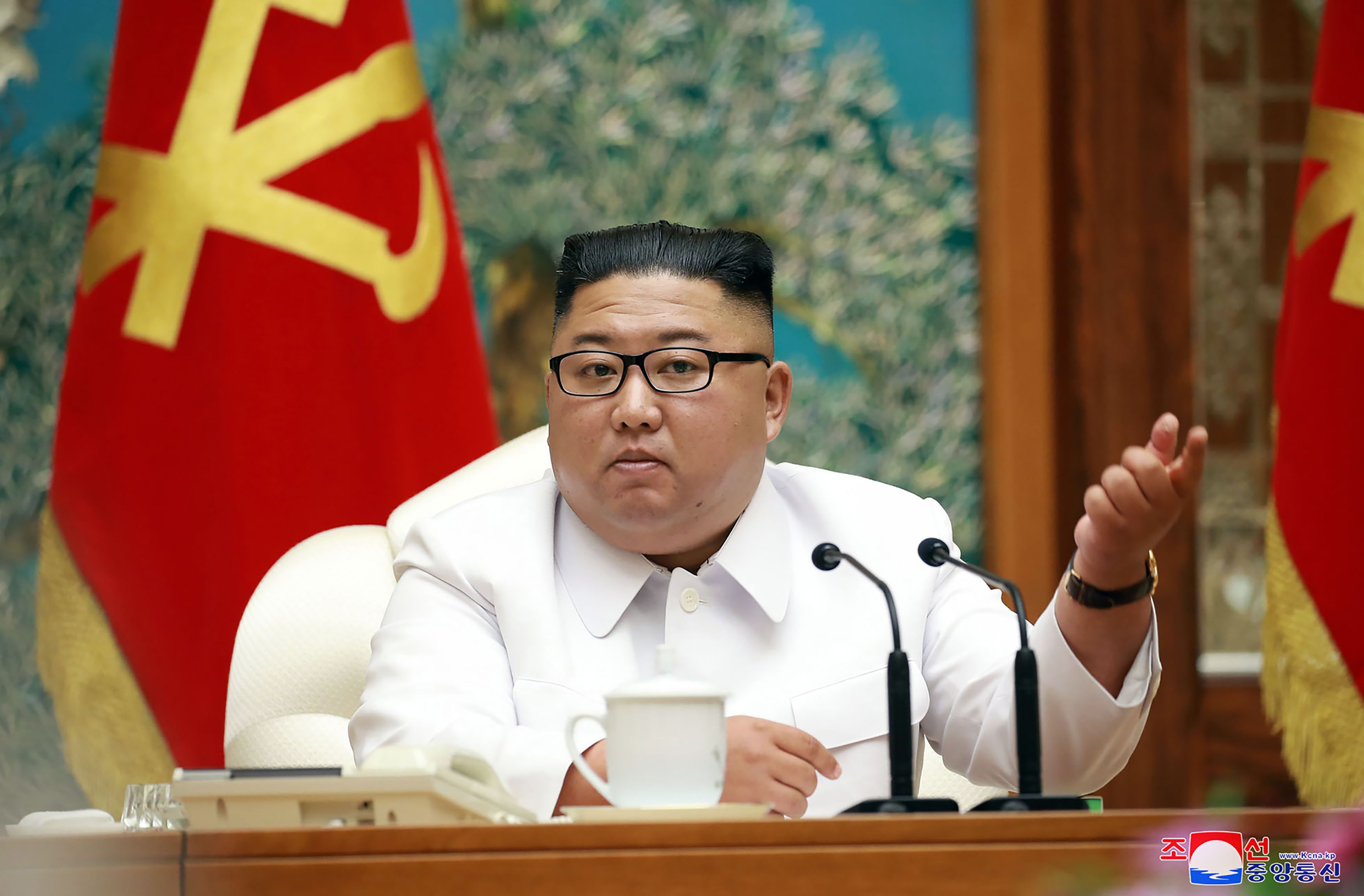Presiden Korea Utara Kim Jong Un