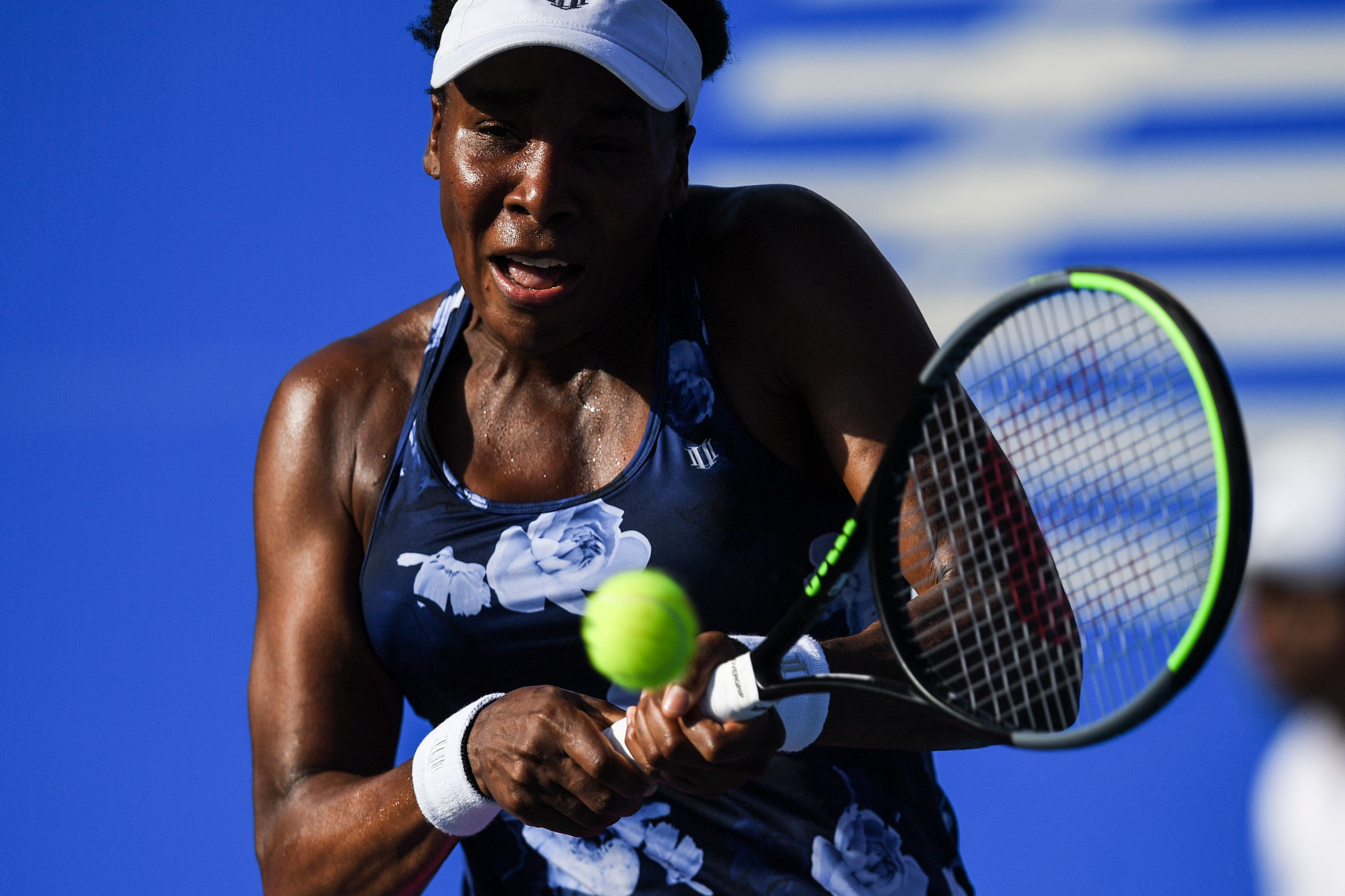 Venus Williams