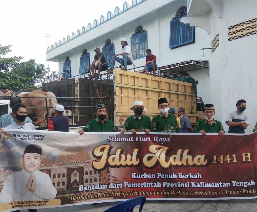 Penyaluran 296 hewan kurban  berupa sapi dari Pemproiv Kalimantan Tengah untuk 14 kabupaten/kota di wilayah itu.