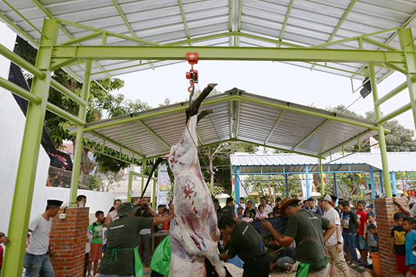 Ilustrasi Pemotongan Hewan Kurban.