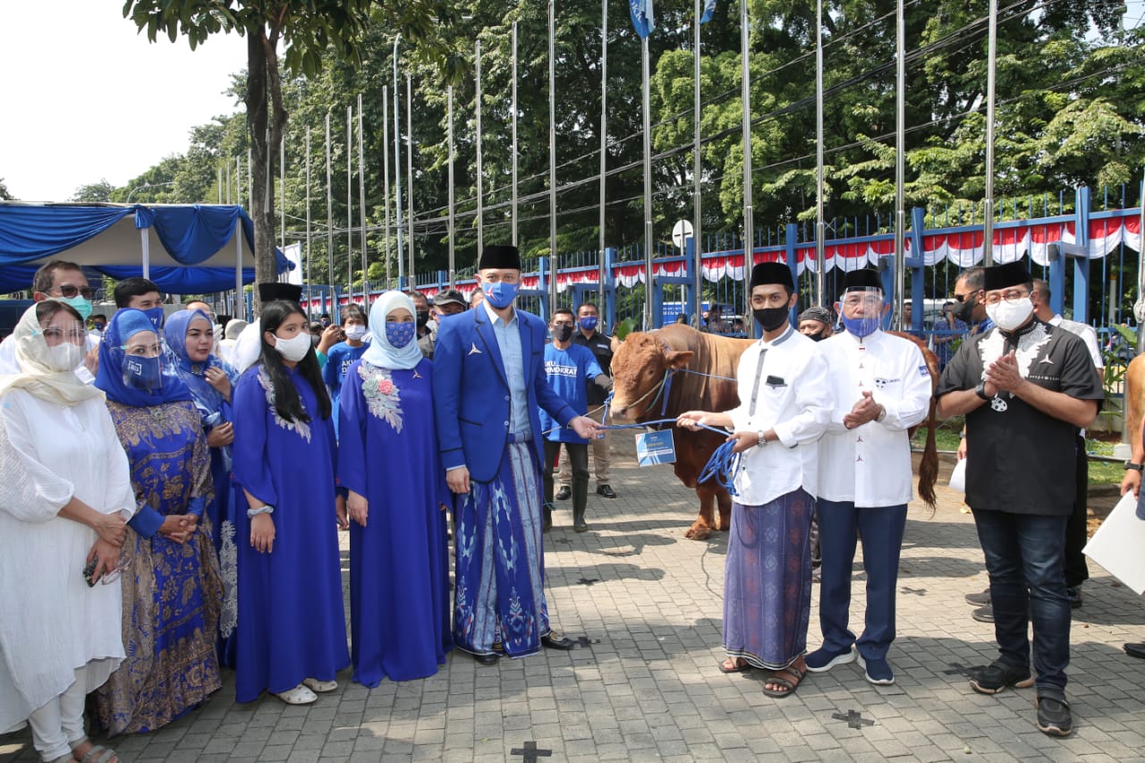  AHY menyerahkan secara simbolik hewan kurban di DPP Partai Demokrat.