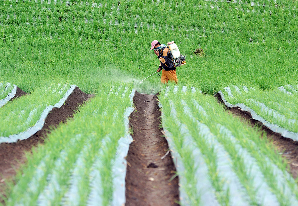 Kementerian Pertanian menyiapkan berbagai strategi dalam menghadapi tantangan ketahanan pangan, khususnya dalam situasi pandemi COVID-19.