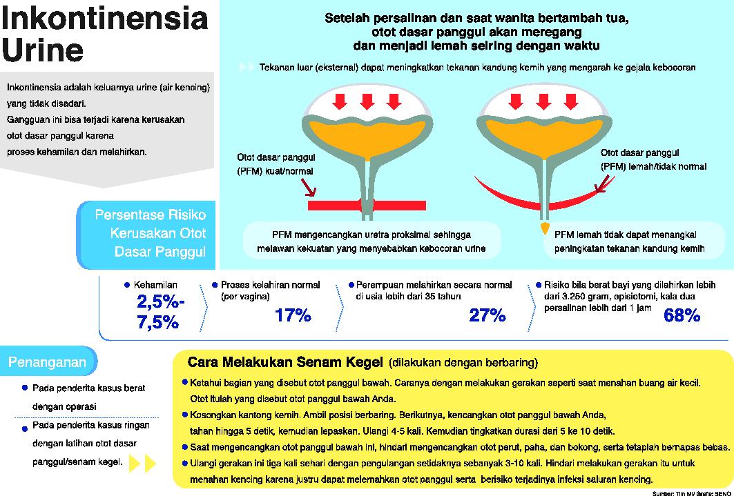 Senam Kegel Bisa Atasi Inkontinensia Urine