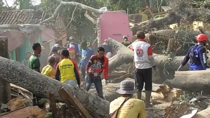 Warga membereskan puing puing rumah yang tertimpa pohon yang tumbang