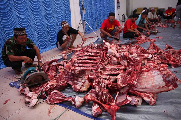 Ilustrasi : Hewan Kurban