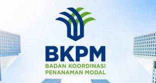 Ilustrasi BKPM.