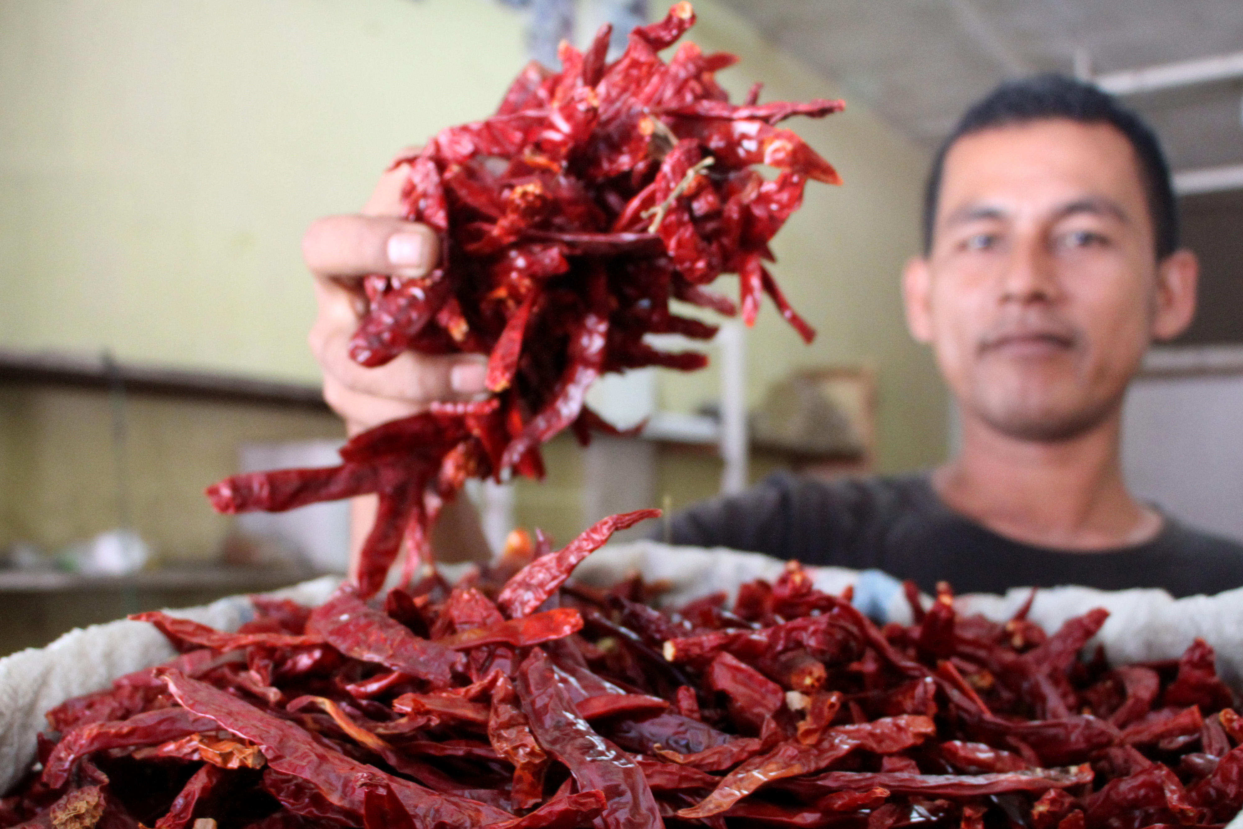 Pedagang memperlihatkan cabai merah kering di Kawasan Pasar Bina Usaha Meulaboh, Aceh Barat, Aceh.