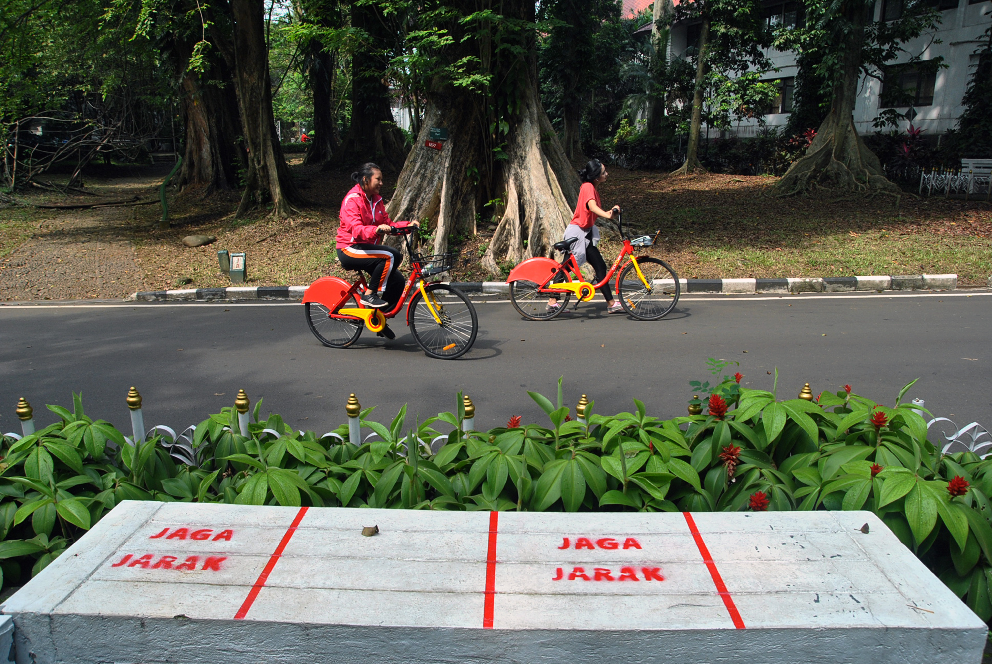 Pengunjung bersepeda di kawasan Kebun Raya Bogor, Jawa Barat, Selasa (7/7).