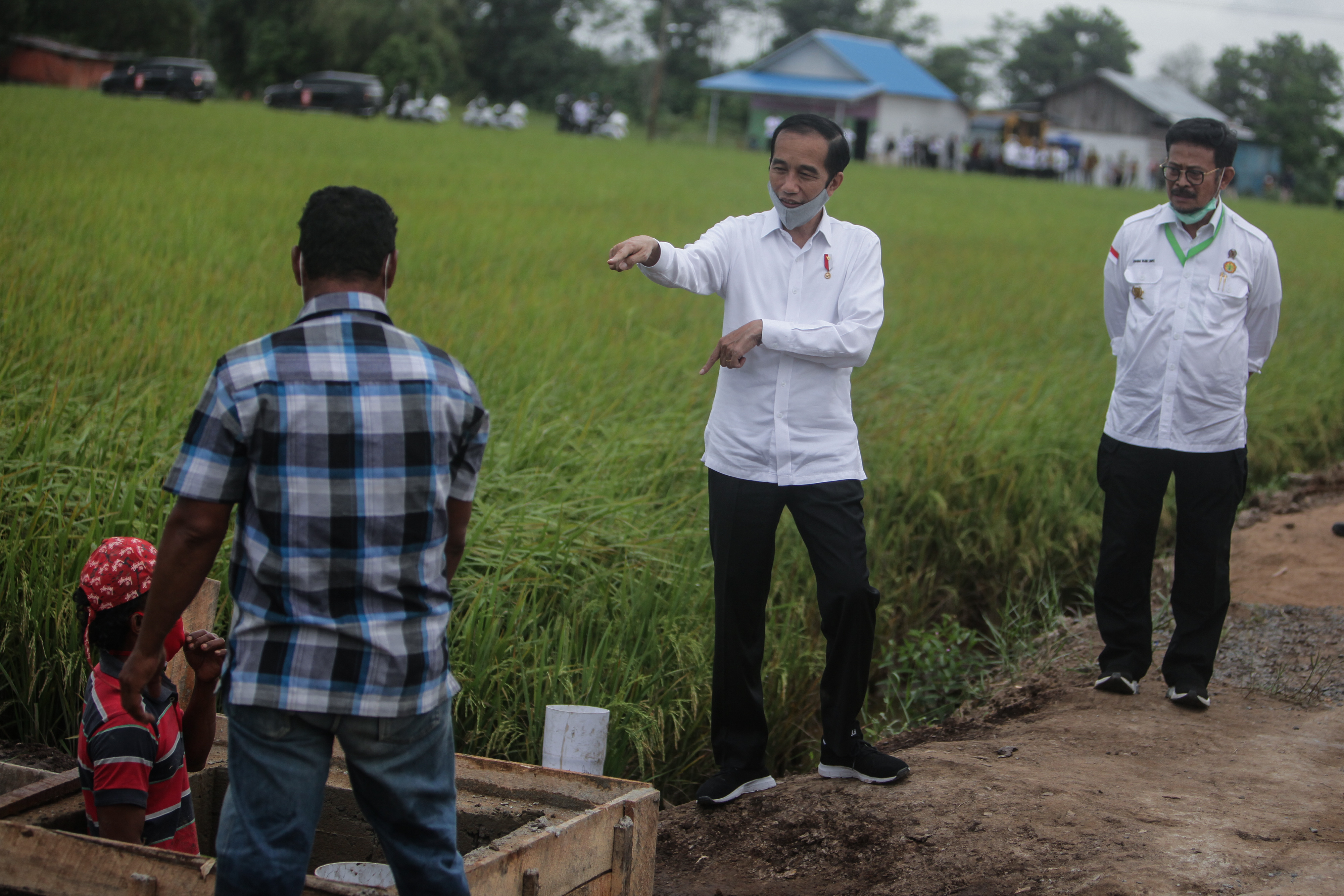 Presiden Joko Widodo (kedua kanan) lahan pertanian yang akan dijadikan food estate di Pulang Pisau, Kalimantan Tengah, Kamis (9/7).