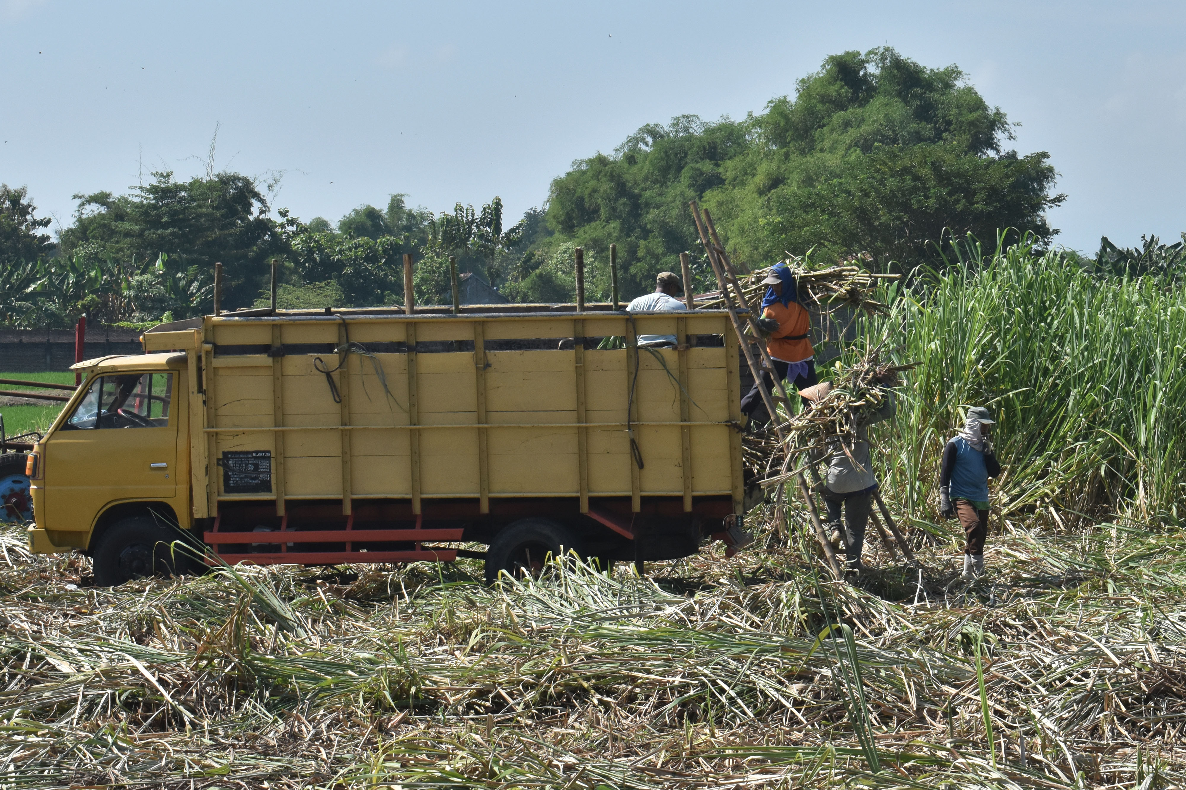 Holding Perkebunan Nusantara (PTPN) menargetkan bisa memproduksi satu juta ton gula di musim giling tebu tahun 2020 ini.