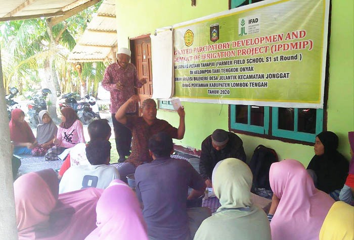 SEJUMLAH petani daerah irigasi di Kabupaten Lombok Tengah, Provinsi NTB mengikuti Sekolah Lapang.