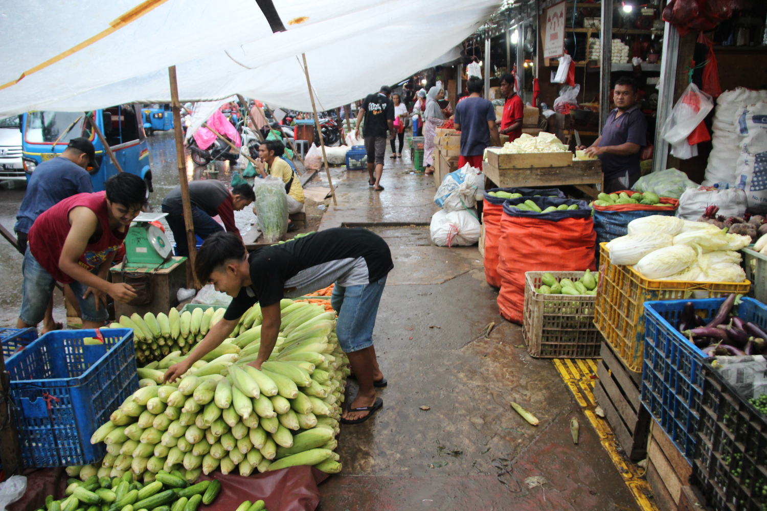 Pedagang memilah bahan pangan di pasar