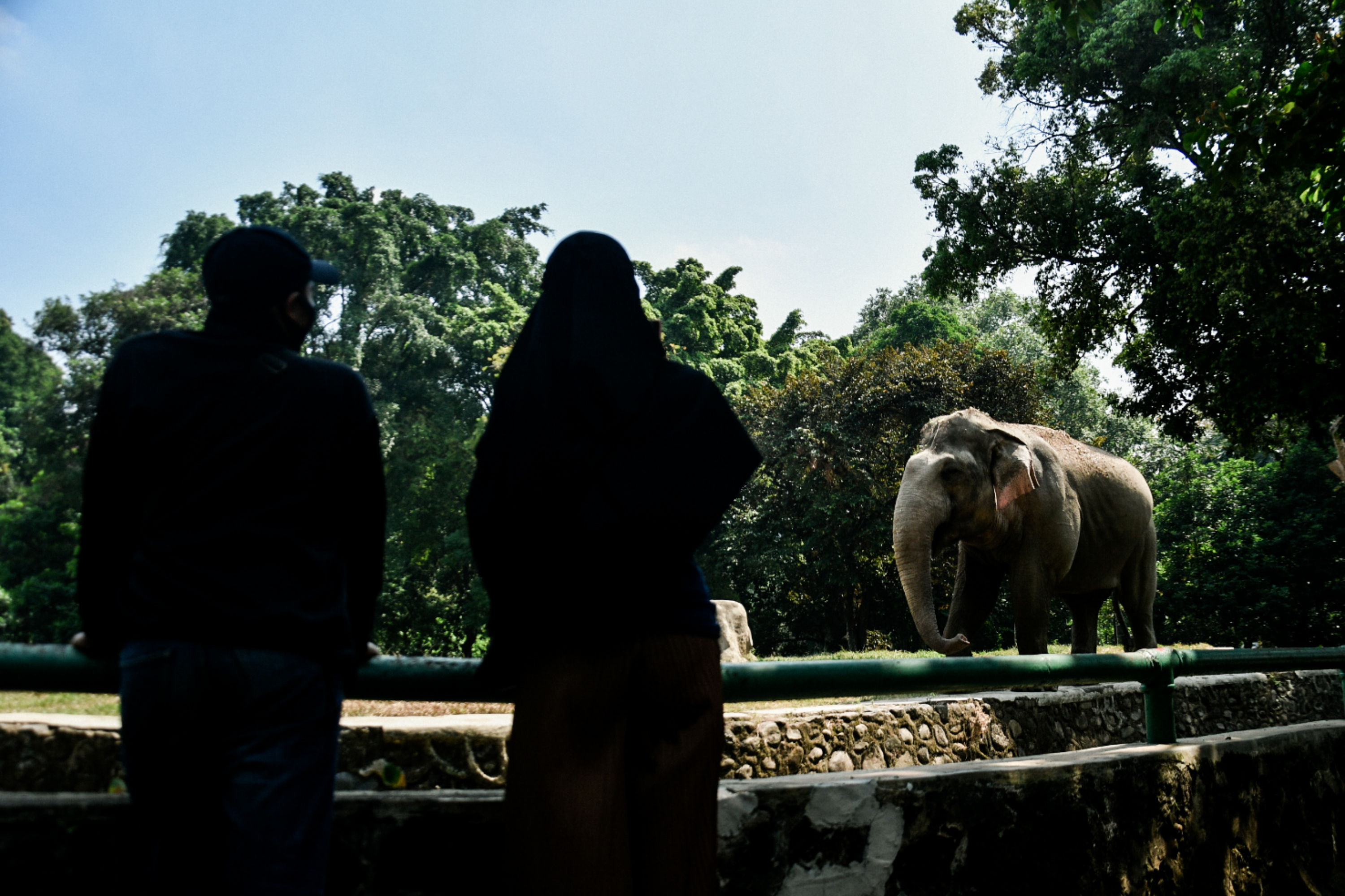 Ragunan Tambah Jumlah Pengunjung Jadi 2.000 Orang