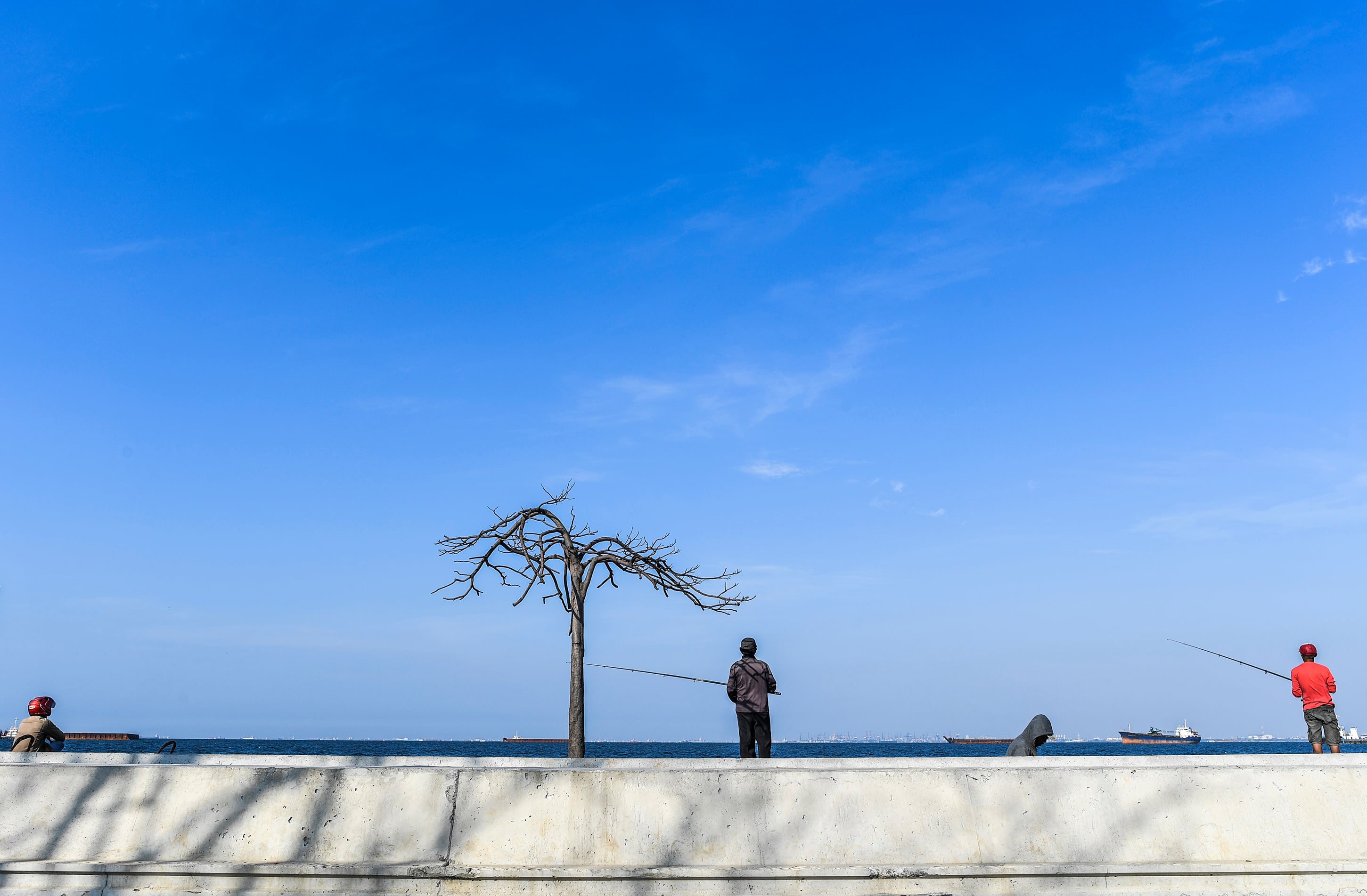 Langit Jakarta terlihat cerah di Muara Baru.