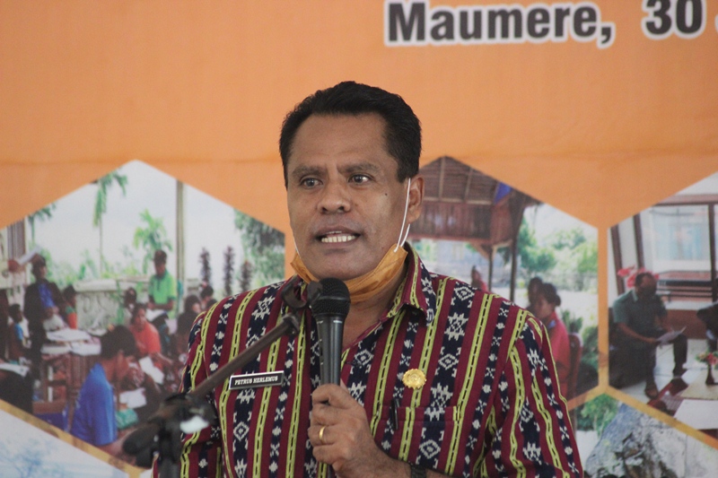  Kepala Dinas Kesehatan Petrus Herlemus