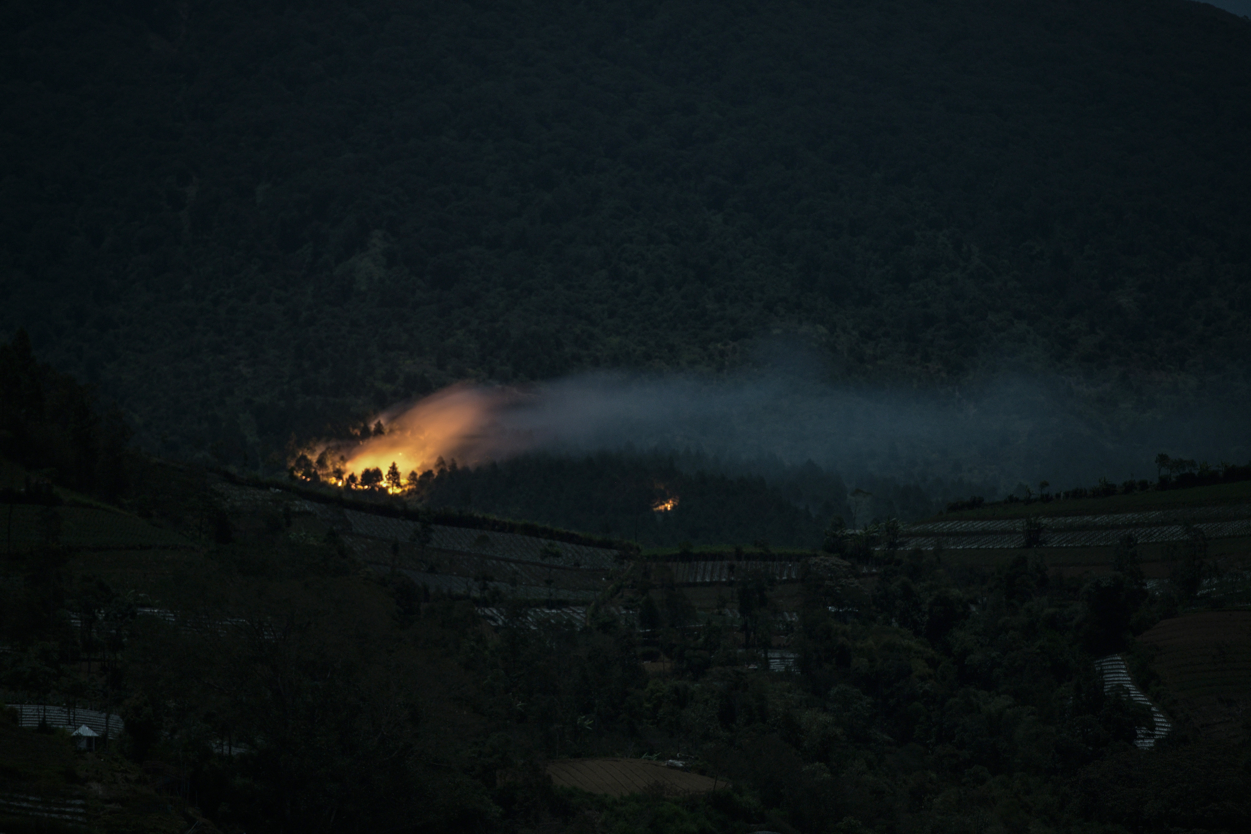 Kobaran api membakar hutan pinus lereng bagian timur Gunung Slamet, di Purbalingga, Jawa Tengah, (12/9) tahun lalu.
