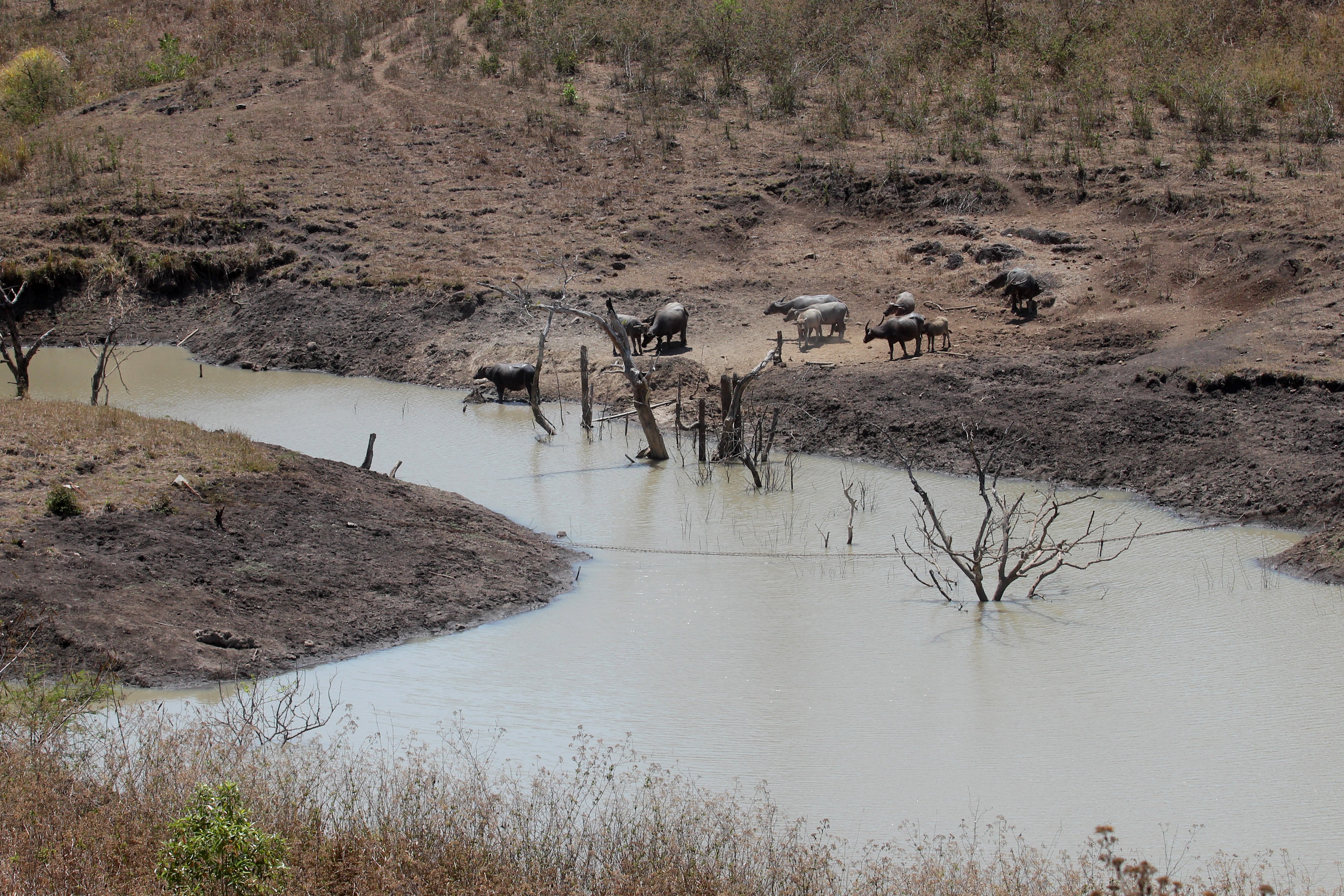 Kekeringan di NTT terus meluas.