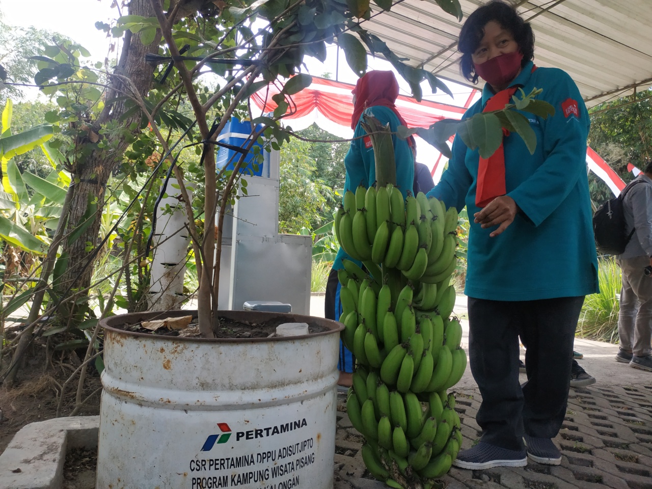 Pertamina melalui CSR dukung Kelompok Wanita Tani Kartini mengelola perkebunan dan budidaya pisang untuk kemandirian pangan.