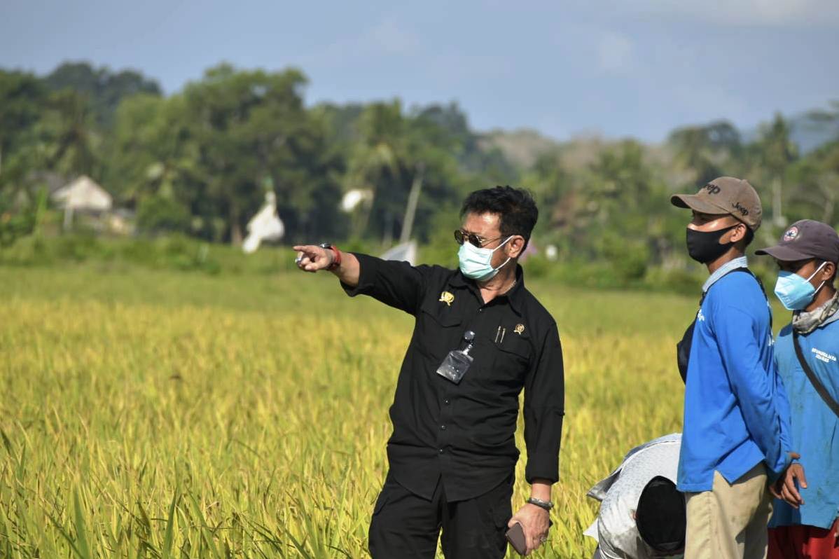 Mentan Syahrul Yasin Limpo.