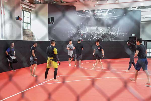 Bela diri Mix Martial Art