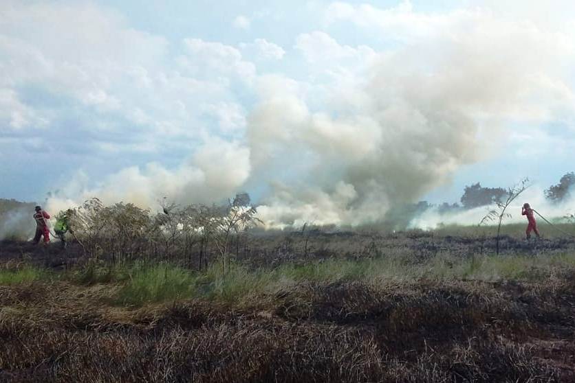 Tim reaksi cepat Badan Penanggulangan Bencana Daerah Ogan Ilir dibantu Manggala Agni sedang berupaya memadamkan kebakaran lahan.