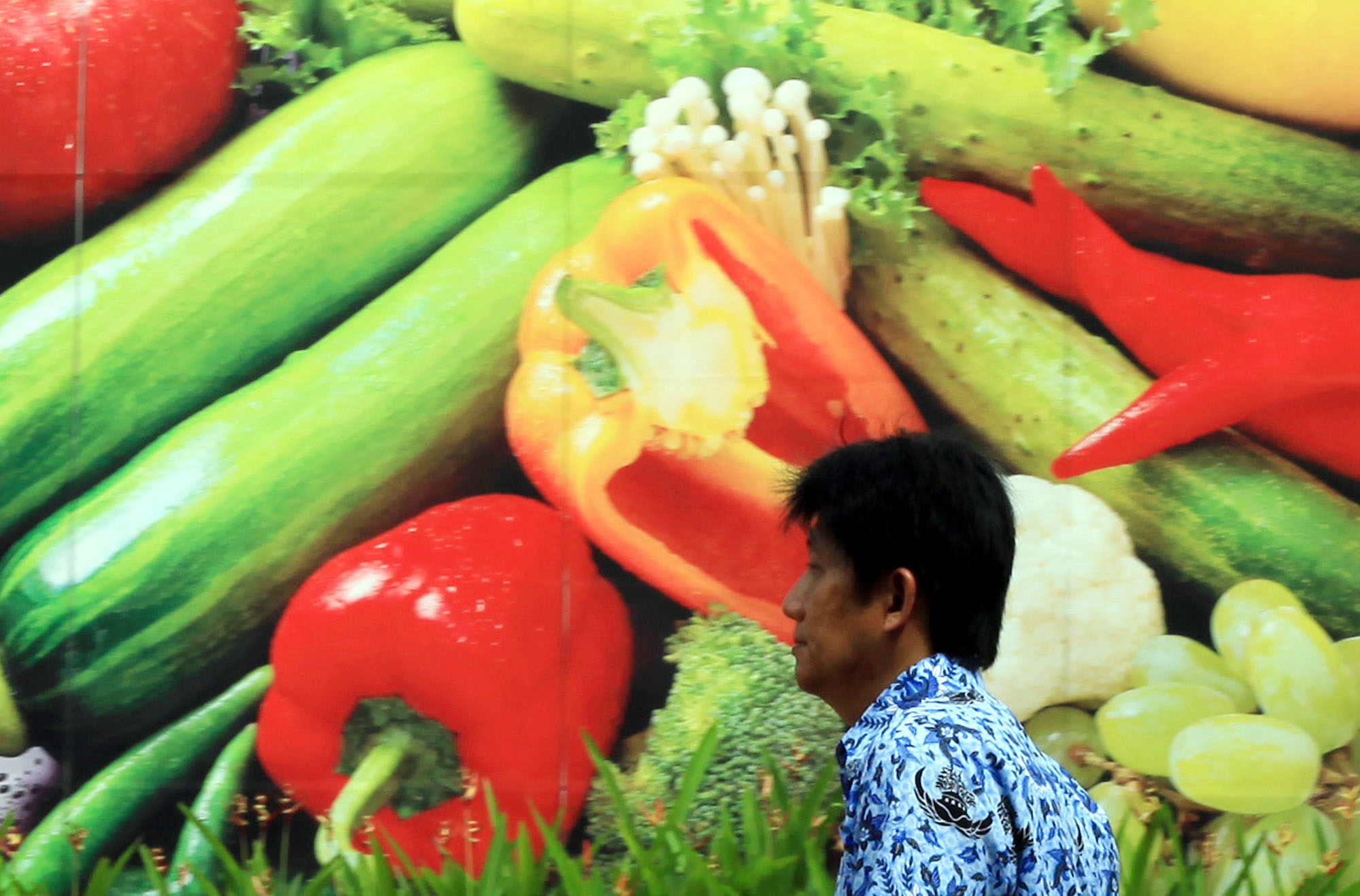 Buah dan sayur mampu menurunkan risiko penyakit kanker.
