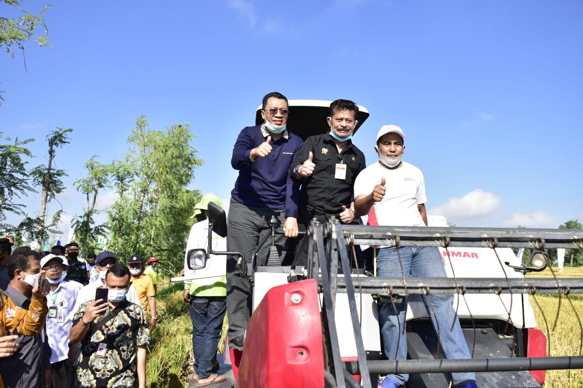 Mentan SYL bersama Gubernur NTB Zulkieflimansyah dan Bupati Lombok Tengah Moh. Suhaili Fadhil Thohir melakukan panen raya padi.