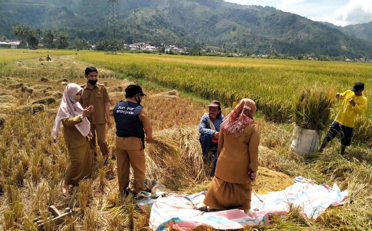  Sejak awal tahun 2020 Kementan gencar mempromosikan Kostratani. 