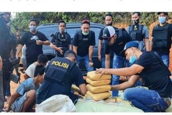 Satuan Reserse Narkoba Polres Metro Jakarta Barat kembali mengungkap peredaran narkoba jenis ganja lintas provinsi di Solok, Sumatra Barat,