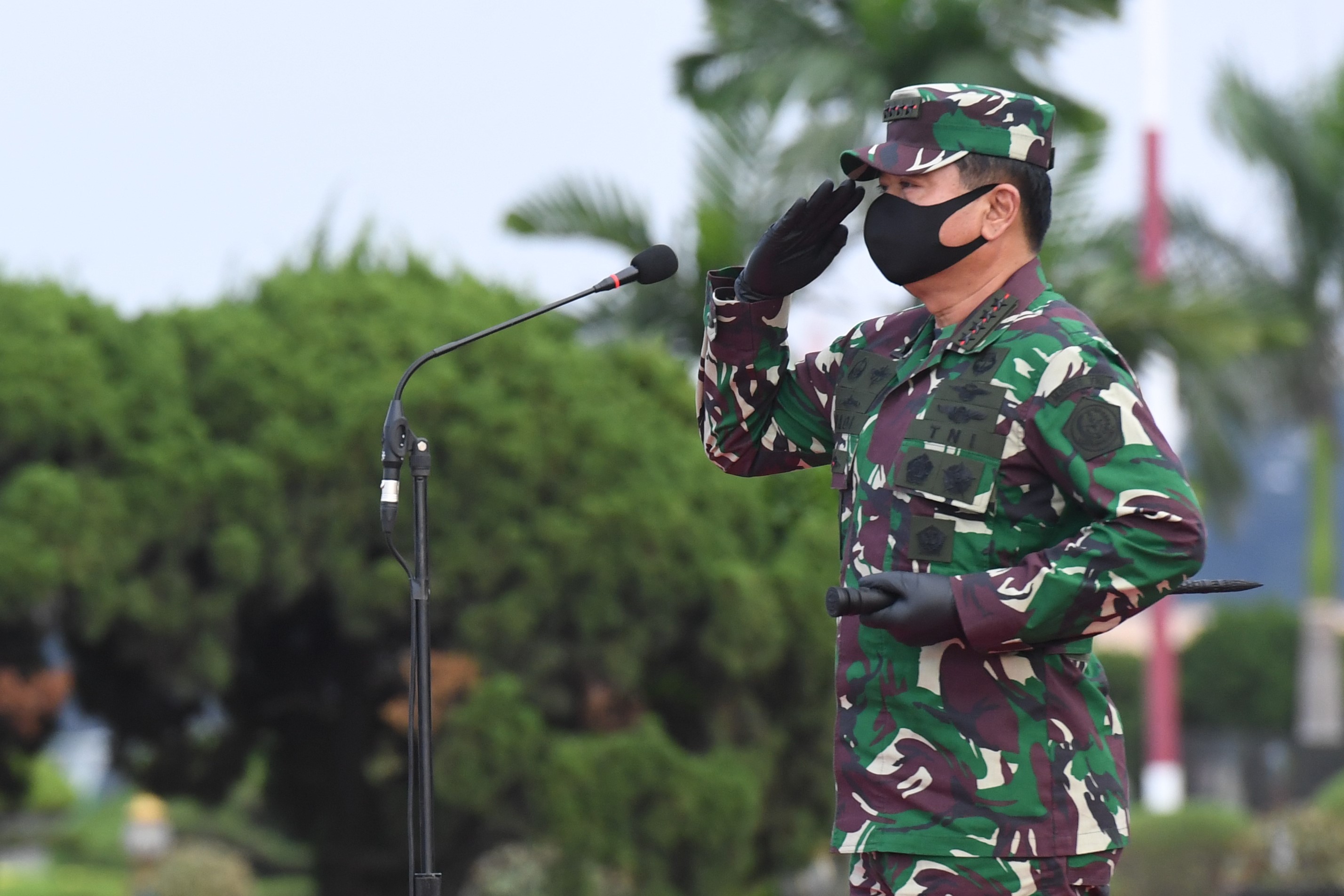 Panglima TNI Marsekal Hadi Tjahjanto