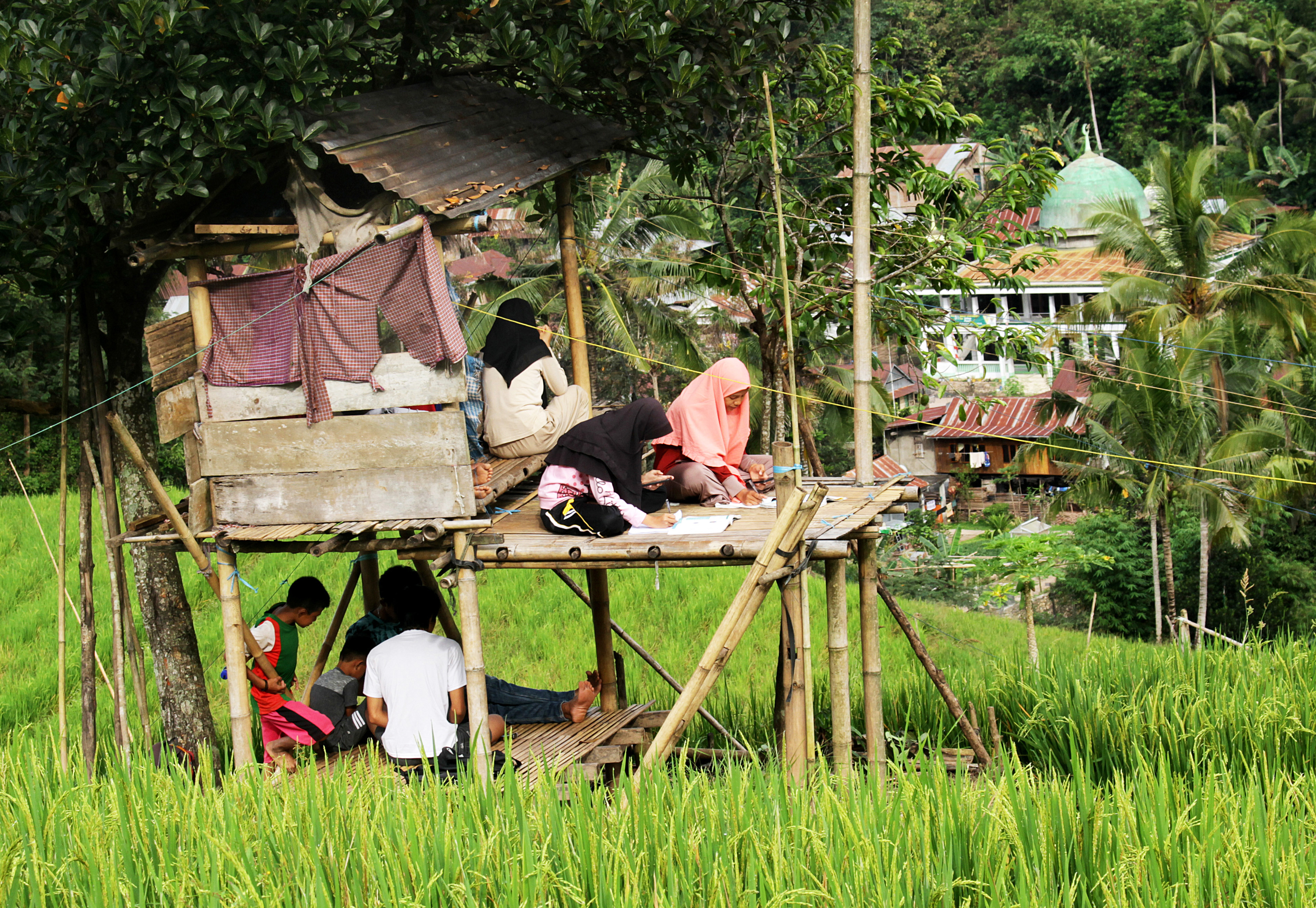  Siswa di Desa Rante Mario, Kabupaten Enrekang, Susel, terpaksa mencari tempat tinggi untuk mengikuti kegiatan belajar mengajar daring.