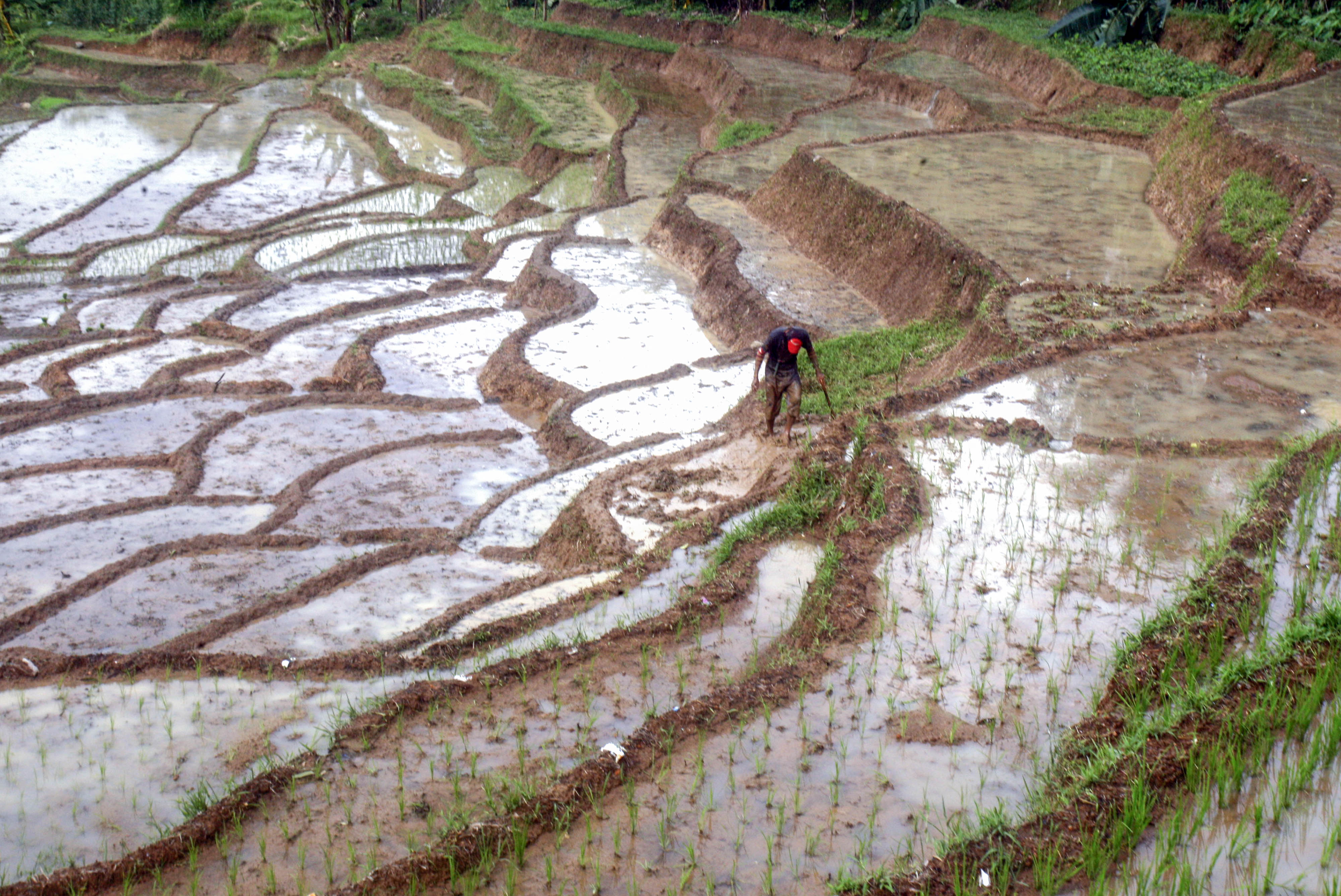 Lahan pertanian di Sumatera Barat tidak bisa semena-mena dialihfungsikan karena ada perda lahan pertanian sudah disahkan.