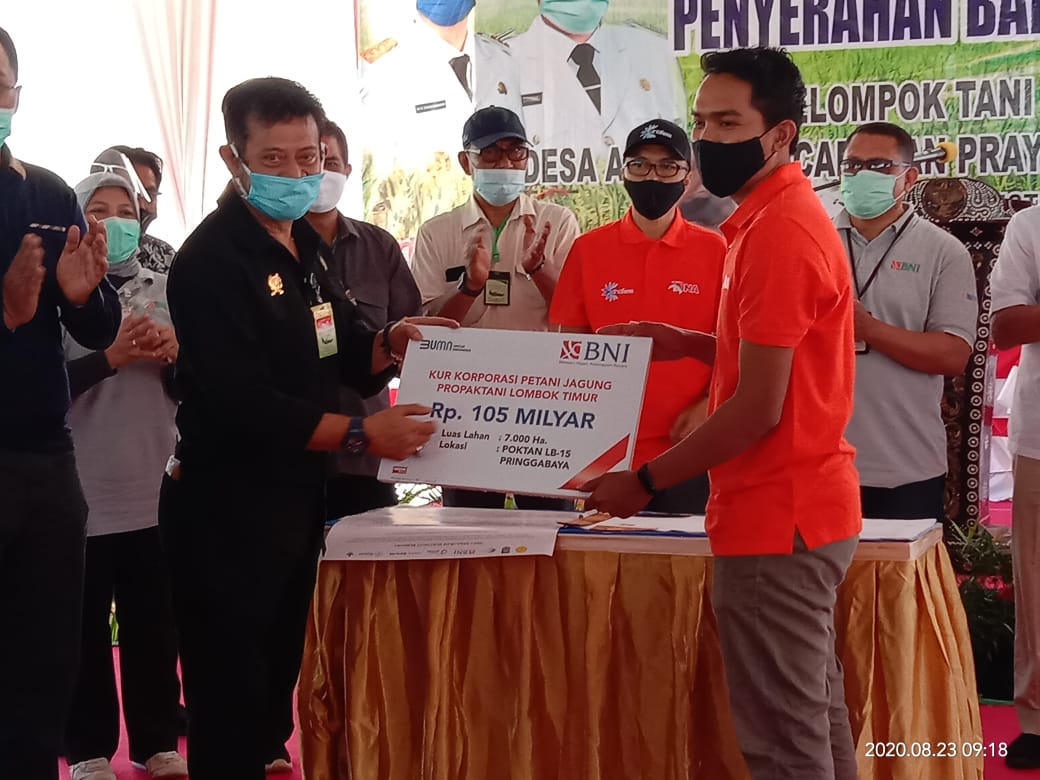 Mentan Syahrul Yasin Limpo menyerahkan secara simbolis KUR Rp105 miliar ke korporasi petani jagung di Kabupaten Lombok Timur, NTB