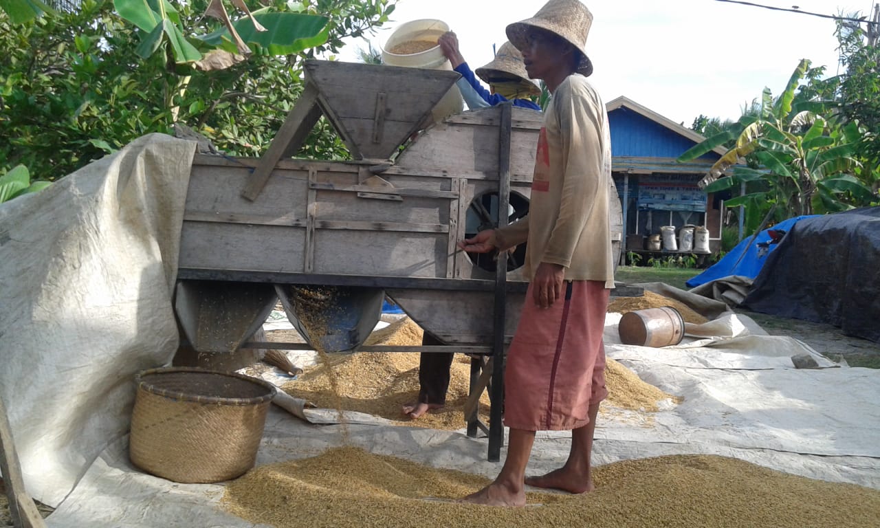 Petani menggiling gabah. Ketahanan pangan desa menjadi salah satu indikator kemandirian desa di Kalimantan Selatan.