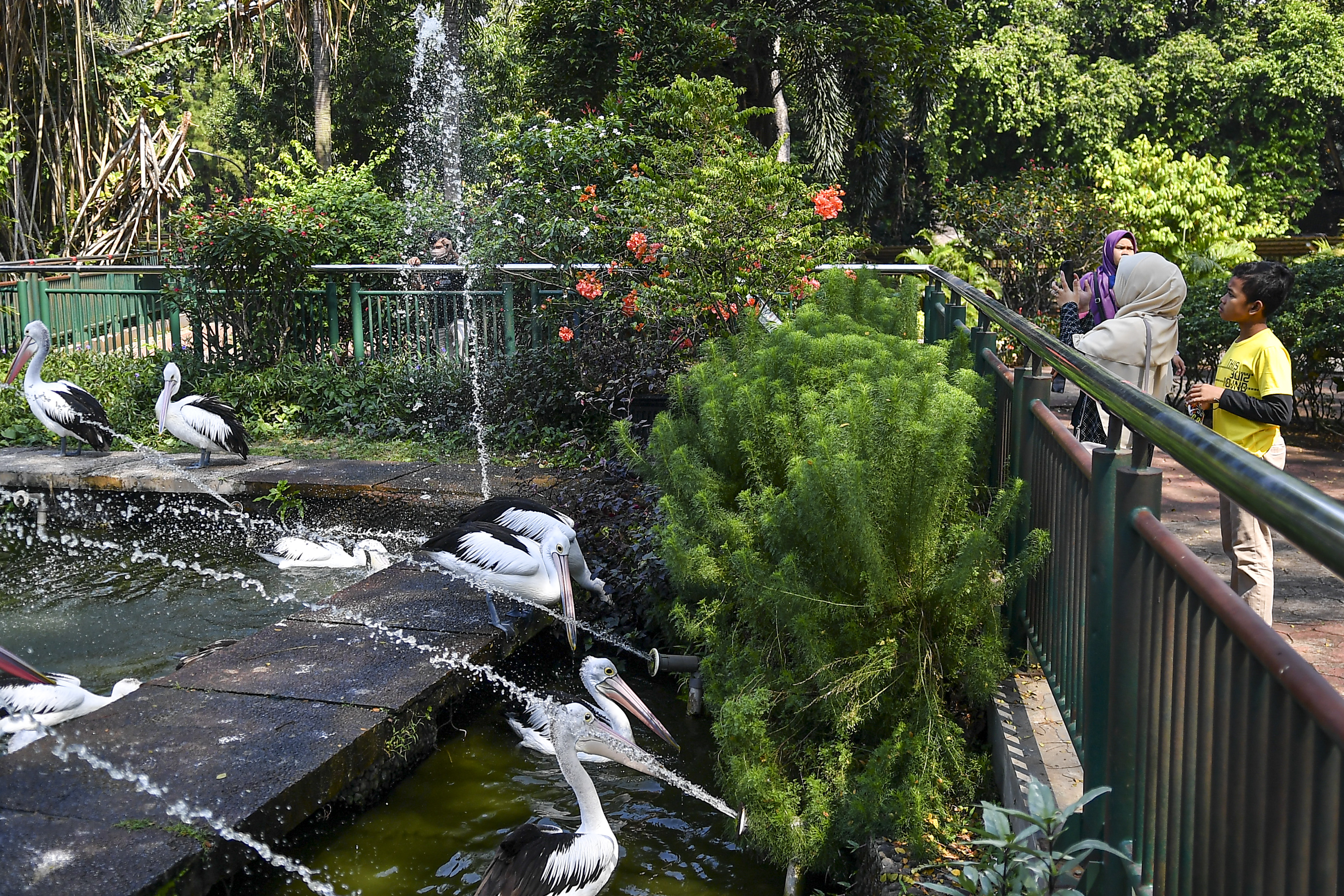 Akhir Pekan Lalu, Pengunjung Ragunan di Atas Seribu