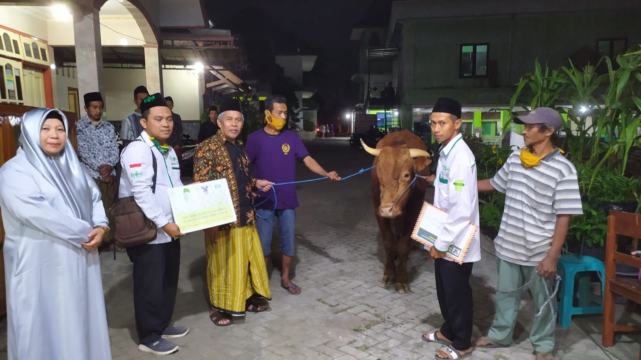 Semua hewan kurban dari keluarga Wapres Ma'ruf telah didistribusikan, Kamis (30/7). 