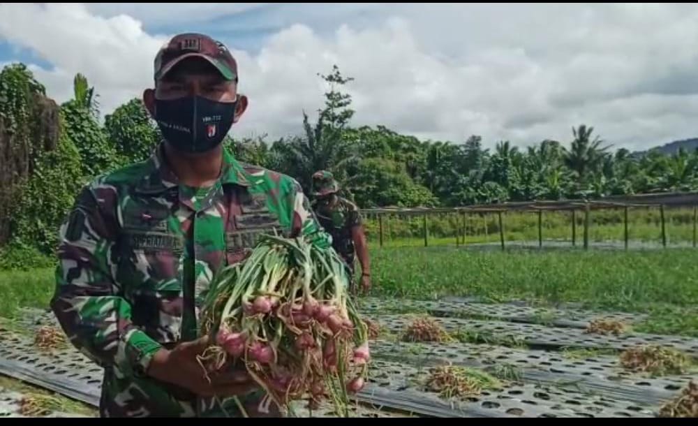 Anggota Kompi Senapan A Yonif RK 732 Banau menunjukkan bawang merah yang baru dipanen.