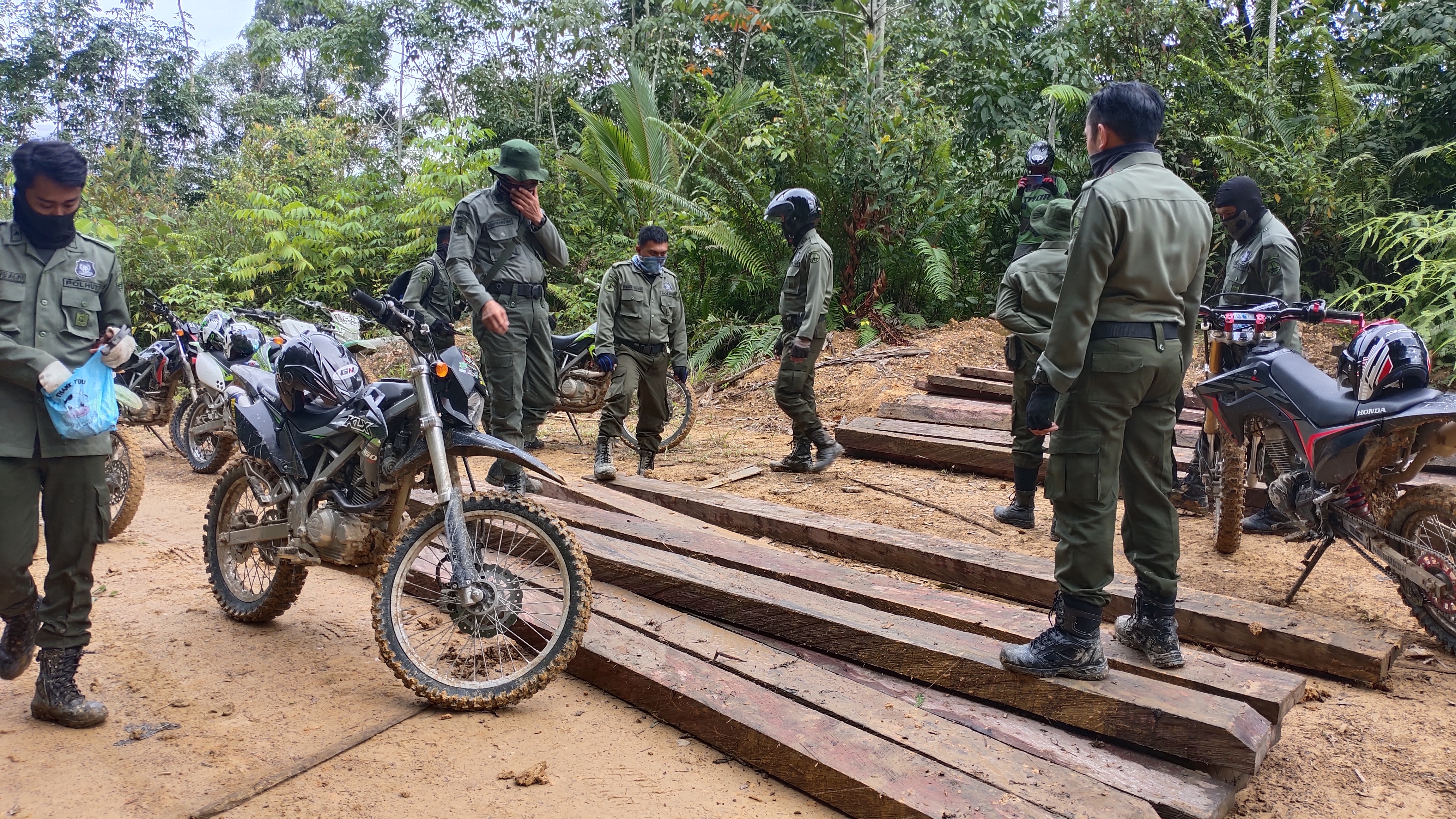  Operasi pemberantasan illegal logging di kawasan hutan Kalimantan Selatan