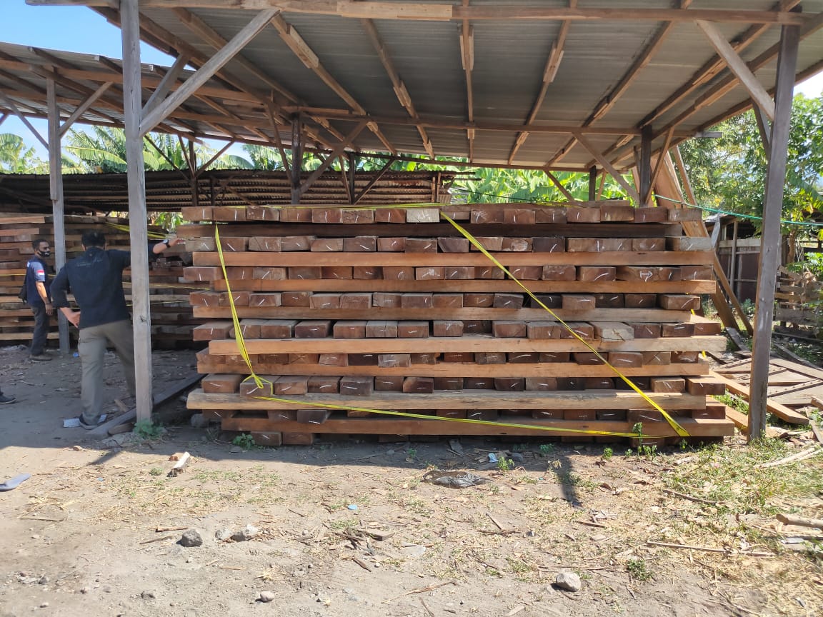 Kurang lebih 175,3380 meter kubik kayu ilegal jenis merbau dan meranti disita Gakkum KLHK di Kabupaten Sikka, NTT. 