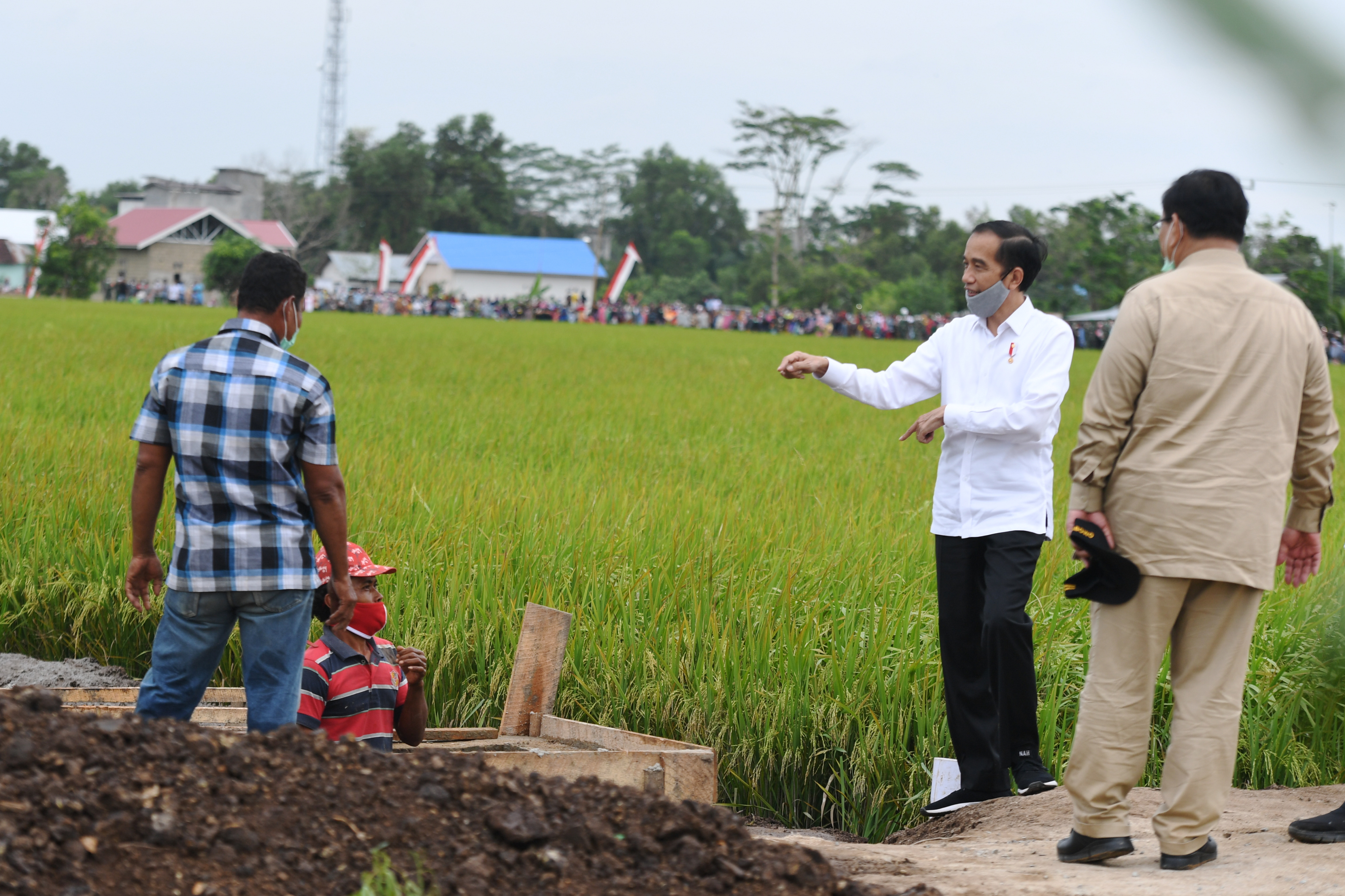 Presiden berdialog dengan pekerja di bakal lokasi food estate Kalteng