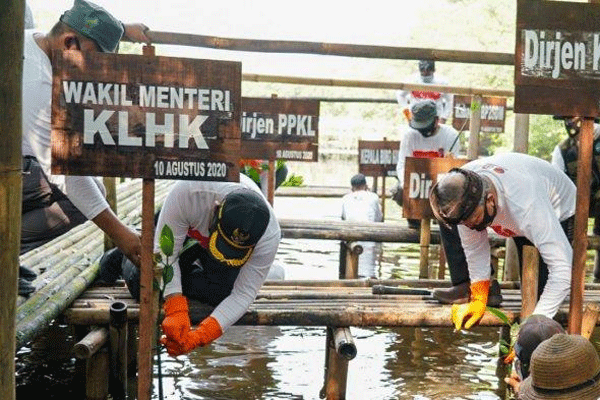 Wakil Menteri Lingkungan Hidup dan Kehutanan (LHK) Alue Dohong dalam Aksi Bersih Kawasan Konservasi dan Penanaman Pohon 