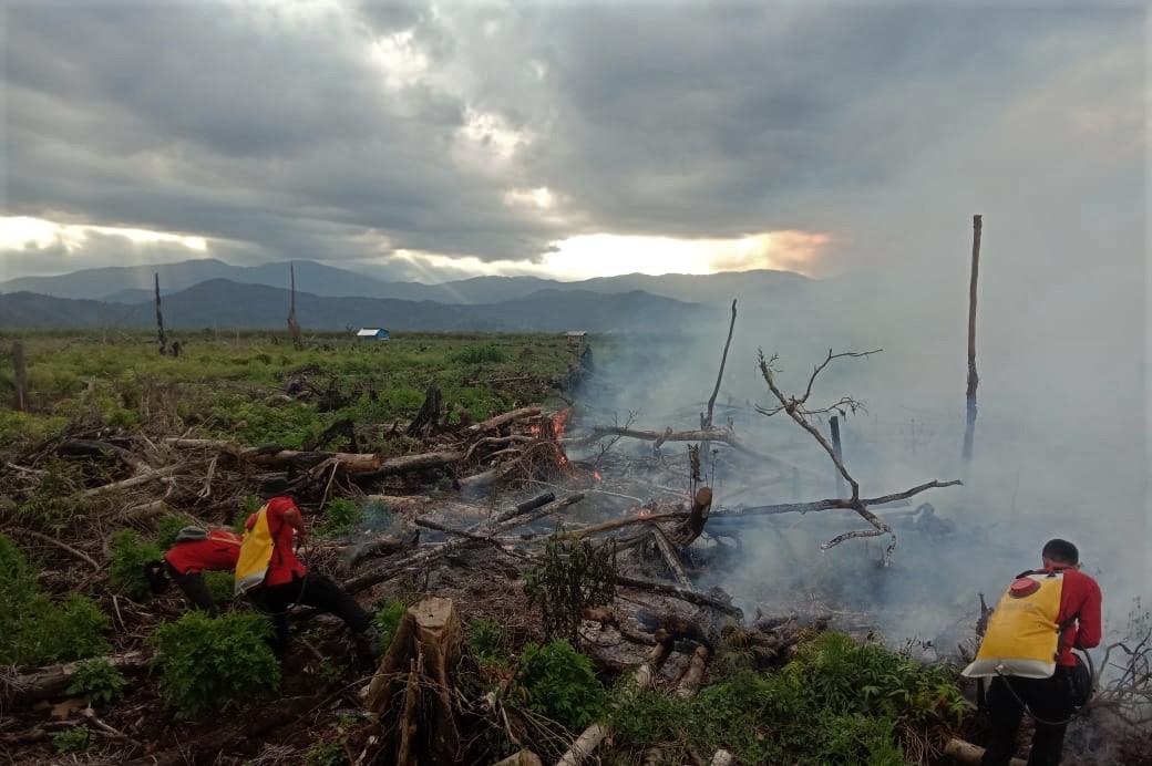 Personel Manggala Aqni melakukan pemadaman api yang membakar lahan gambut di Kelurahan Tinengi, Kec. Tinondo, Kolaka Timur, Sulteng, (19/8).