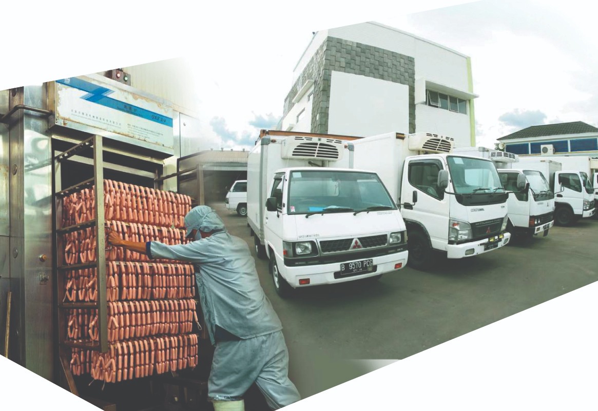 PT DDFI yang berdiri sejak 1999 dengan pabrik di Ciracas, Jakarta Timur, telah mampu menjangkau pasar yang cukup luas. 