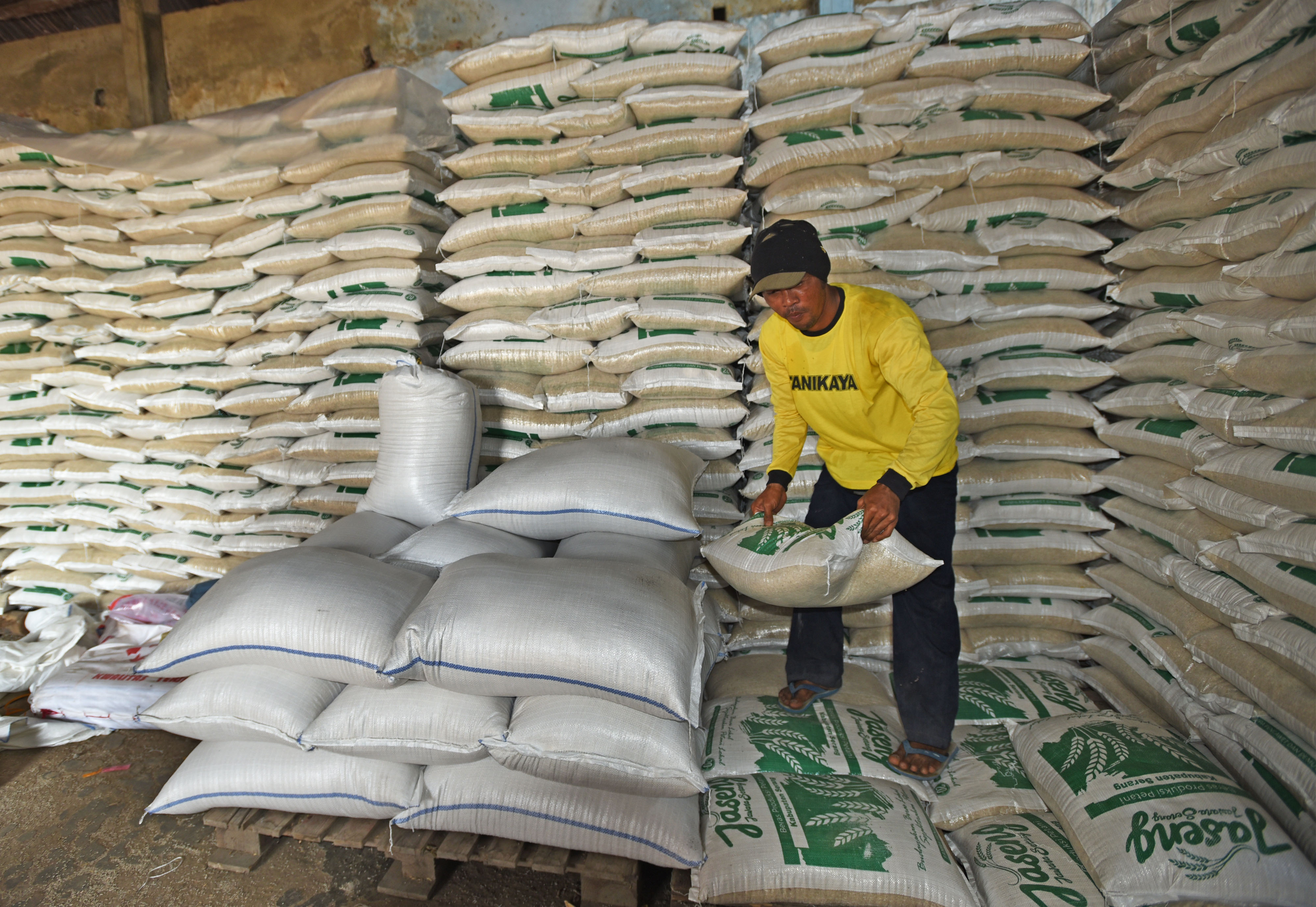 Ilustrasi: Pekerja menumpuk karung berisi beras di sentra produksi beras Koperasi Sripadi, Kramatwatu, Serang