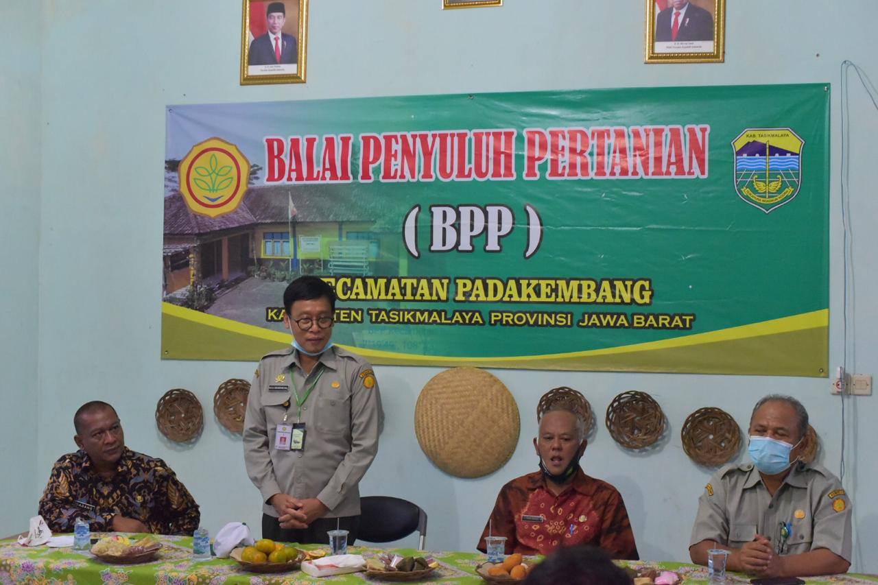 Kepala BPPSDMP Kementan Dedi Nursyamsi (berdiri) saat kunjungan ke Tasikmalaya, Jawa Barat, Kamis (13/8).