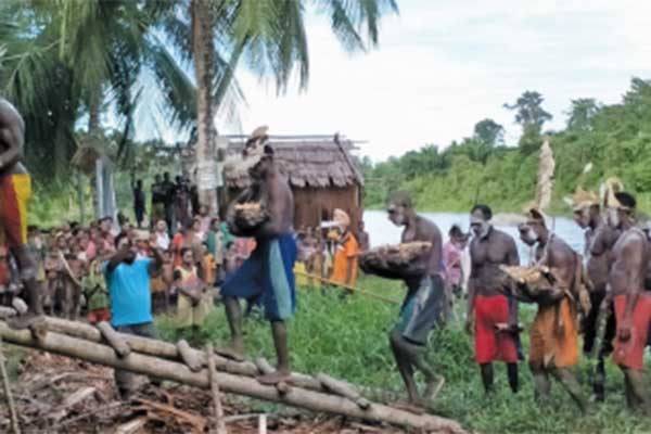 Ulat Sagu dibawa masuk ke Jew.