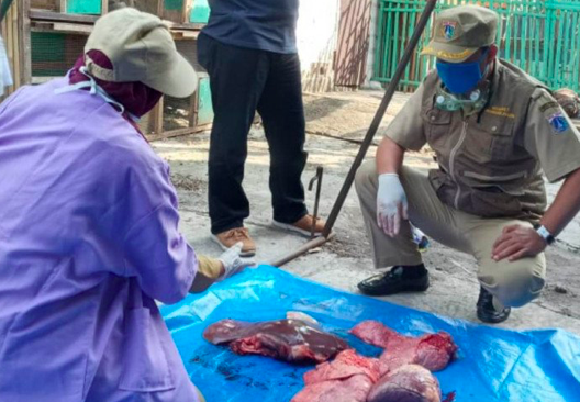 Kasudin KPKP Jakarta Utara Unang Rustanto memantau lokasi pemotongan hewan kurban, Sabtu (1/8/2020). 