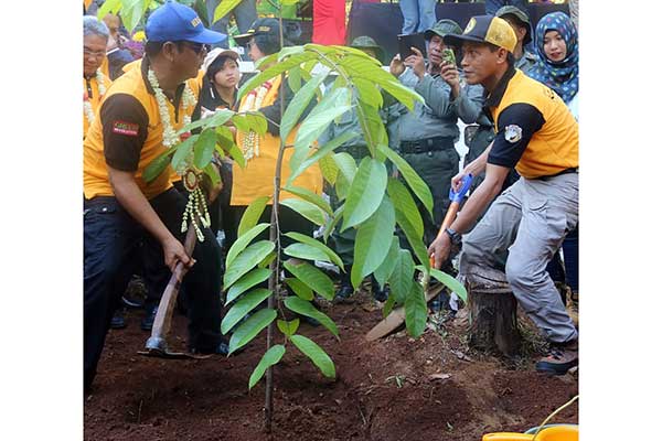 Gubernur Kalimantan Selatan Sahbirin Noor (kiri) dan Kepala Dinas Kehutanan Kalsel Hanif Faisol Nurofiq menanam pohon bersama.