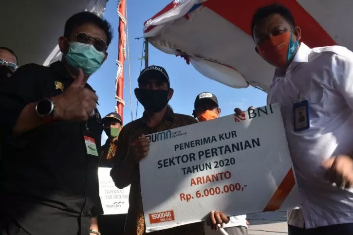 Penyaluran KUR Tani BNI di Bangka Belitung. 